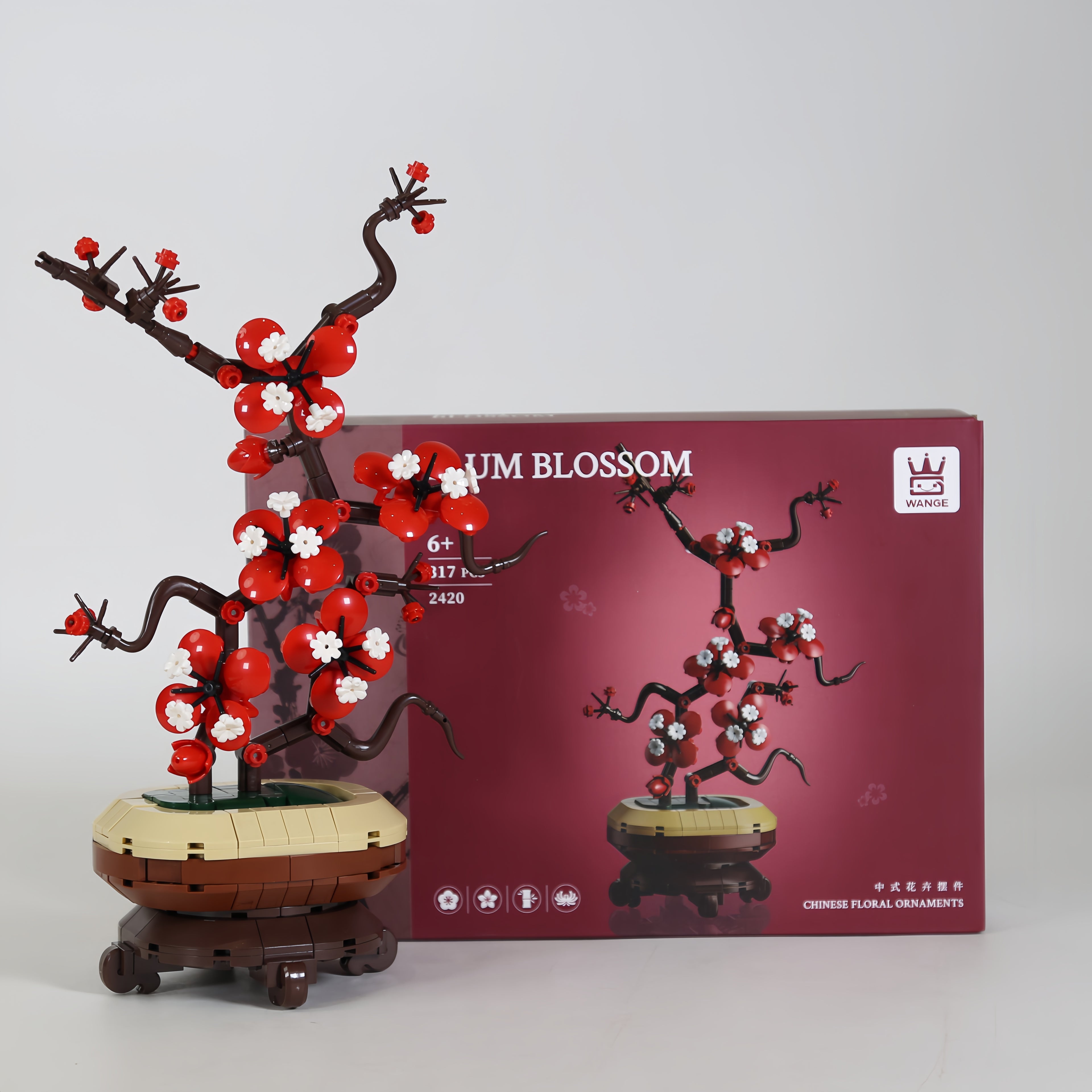 Aoxue Plum Blossom in Pot