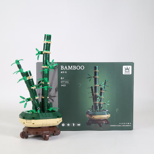 Bamboo Plant in Pot