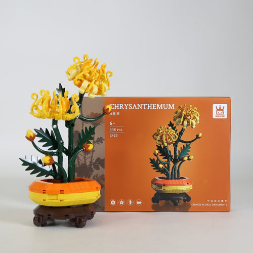 Autumn Chrysanthemum in Pot